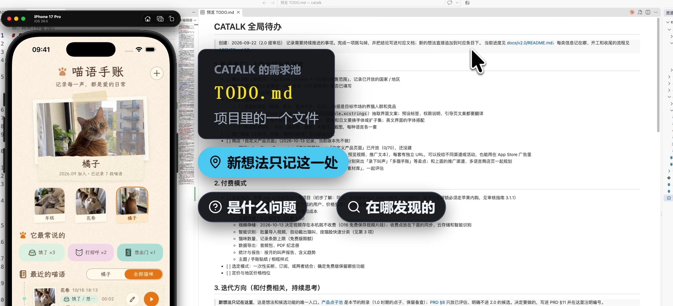 CATALK 的需求池是 TODO.md：新想法只记这一处，每条写清是什么问题、在哪发现的、哪天记的。